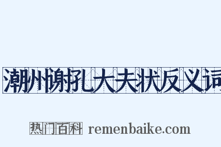 潮州谢孔大夫状反义词是什么意思的图片